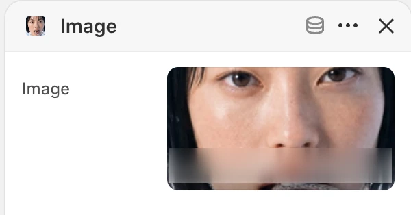 Image block settings in the Theme Editor: Image.