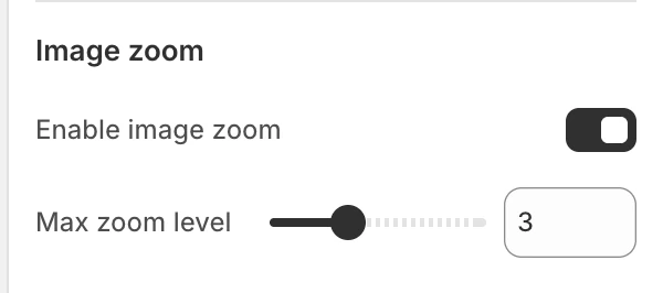 Product page Image zoom settings in the Theme Editor: Enable image zoom, Max zoom level.