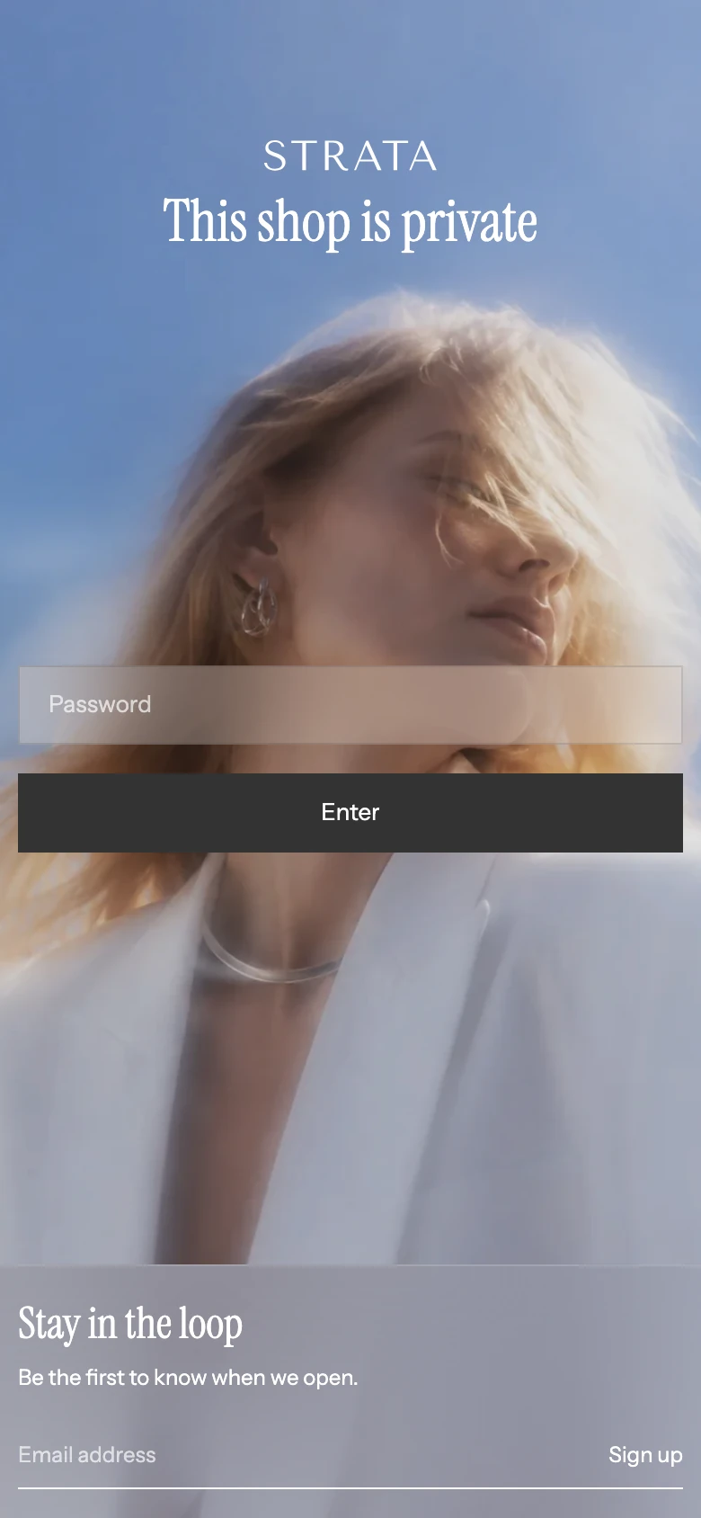 The password page on mobile with the heading and password field over the image.